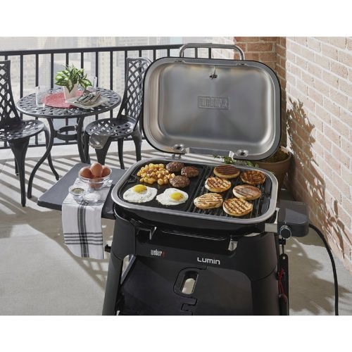 1Pc Weber Lumin 2000 18.3 In. W. x 13 In. L. Porcelain Enamel Cast Iron Gri