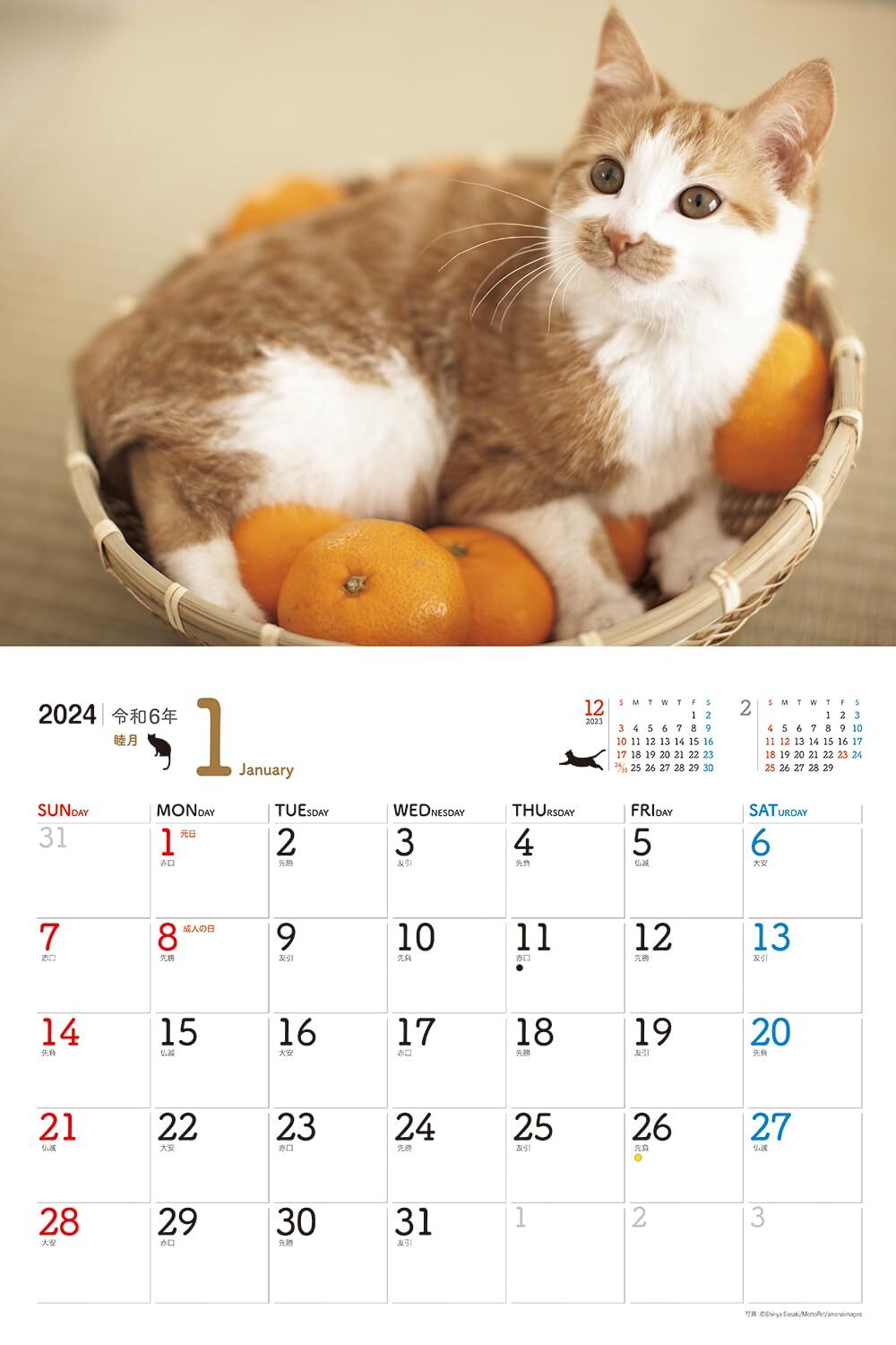 JTB Calendar Nyanko 2024 Wall Hanging Cat (Calendar 2024)