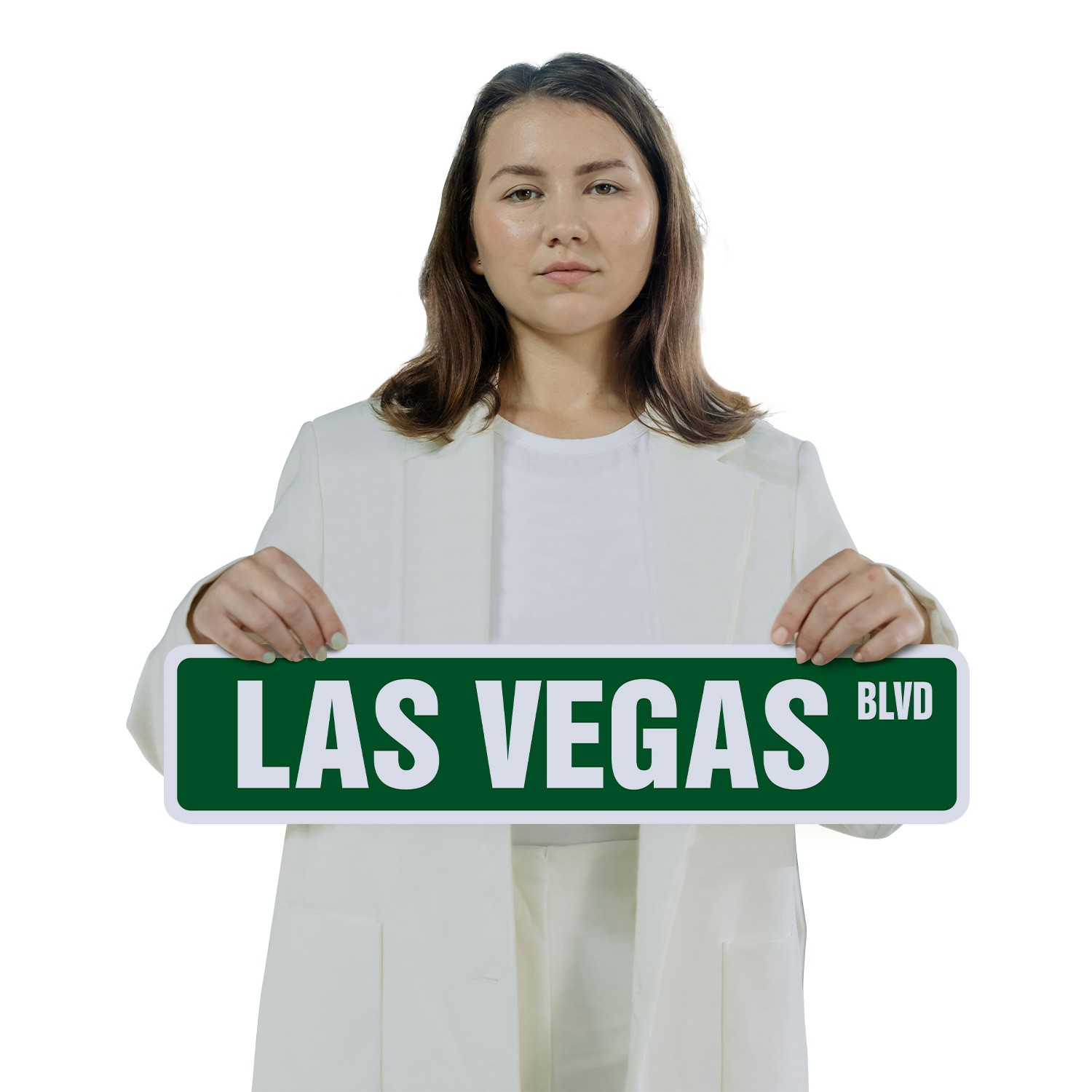 LAS VEGAS BLVD Street Sign (2 Pack) casinos entertainment shows musicals bars