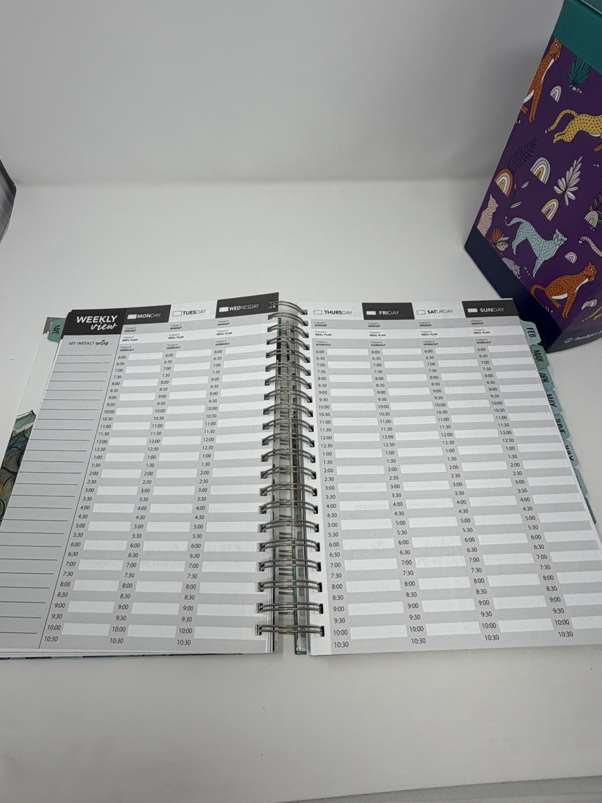 The Budget Mom Live Rich Planner & Budget by Paycheck 12 Month Box Set