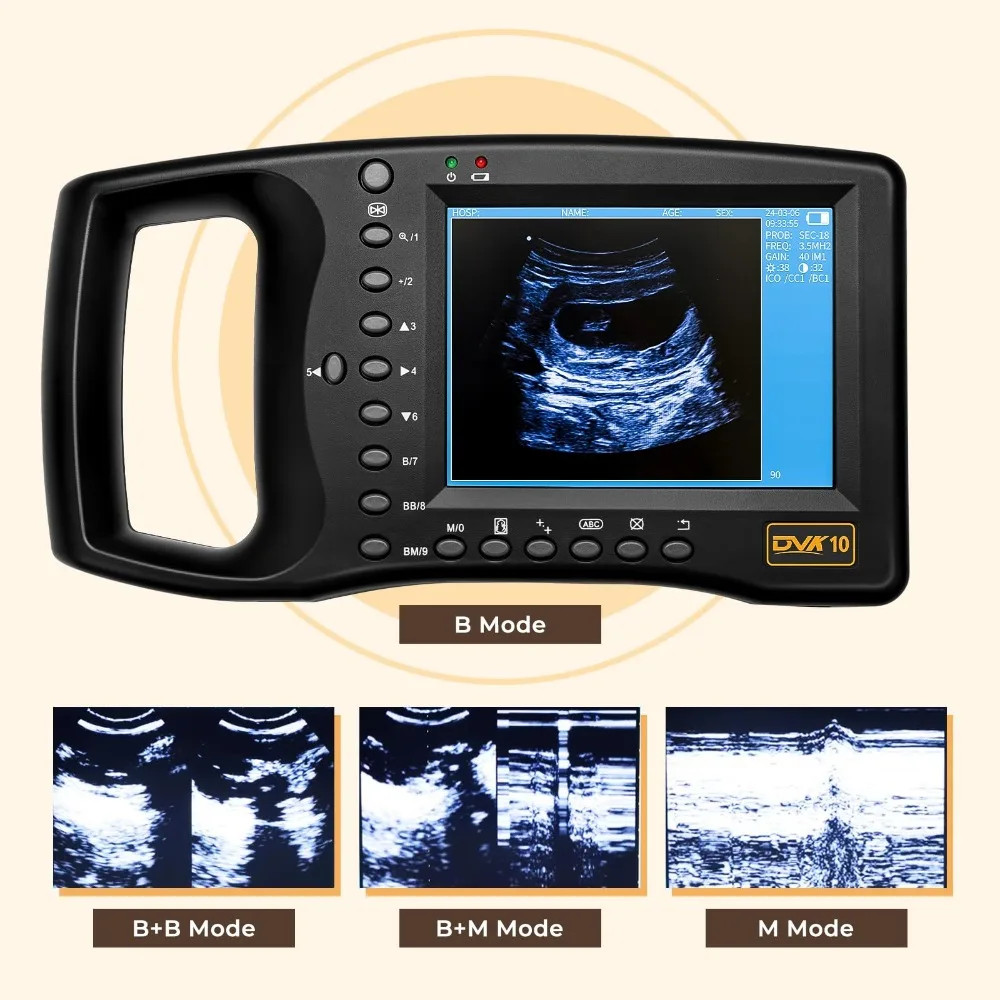 Veterinary Ultrasound Machine Lightweight Portable Design for Pregnant Animal