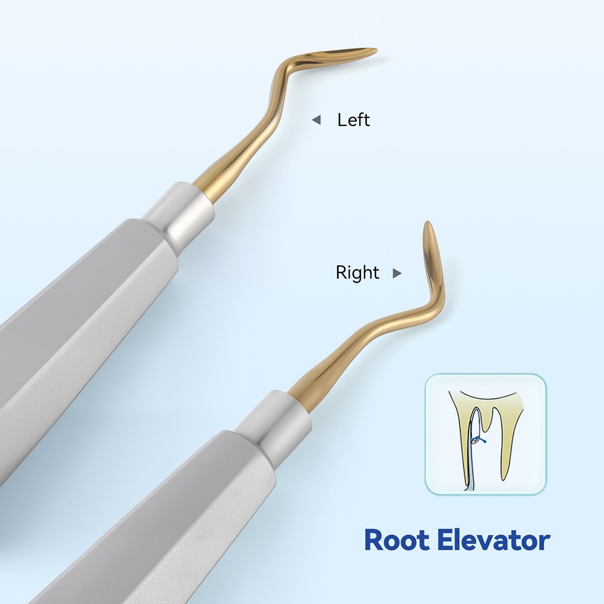 Luxación dental Elevador de dientes Extracción Coupland Aflojamiento de dientes
