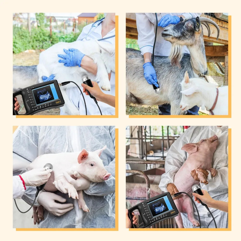 Veterinary Ultrasound Machine Lightweight Portable Design for Pregnant Animal