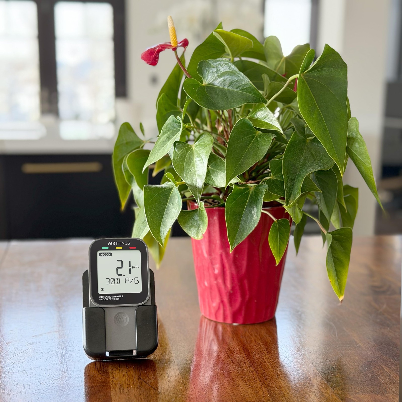 Multiple Purposes Case for Corentium Home Radon Detector by Airthings, for De…