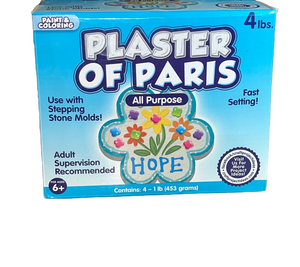 Plaster of Paris, ALL PURPOSE Sets In 20 To 30 Minutes – 4 Lbs Paint & Color