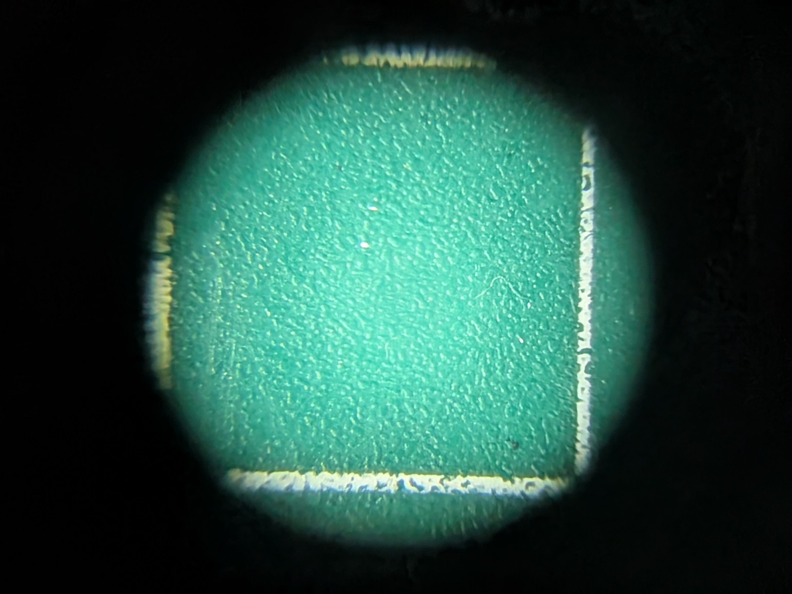 Bausch & Lomb StereoZoom 5 Microscope 0.8x-4.0x w/ 10X WF Eyepieces &Focus Mount
