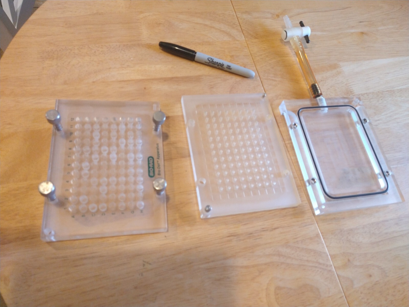 Gel Electrophoresis and ImmunoBlot Devices
