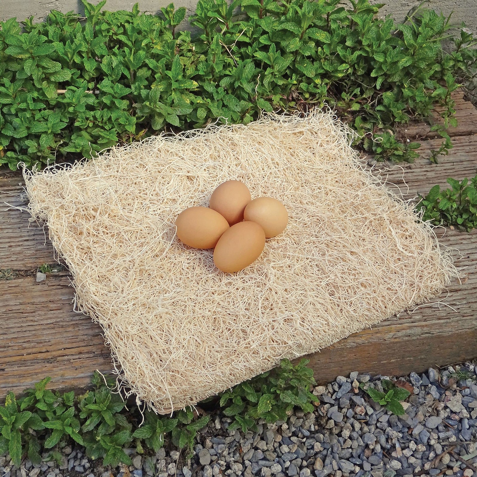 PRECISION PET Chicken Nesting Pads by Petmate, 13″ x 13″, 10 Pack, Beige | Ma…