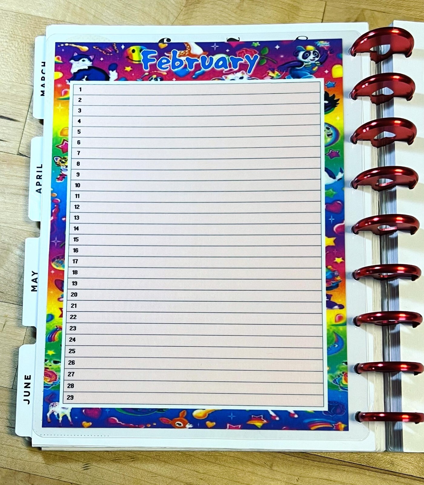 Set of 6 (Six) Month at a Glance Dashboard Inserts for use with Happy Planner-