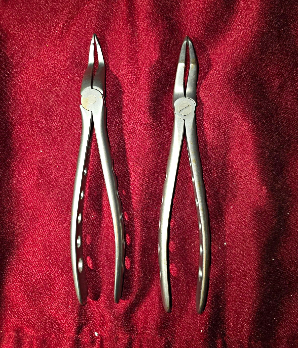 Salvin Atraumair-LX Dental Extraction Forceps 800-1855 for Dentistry