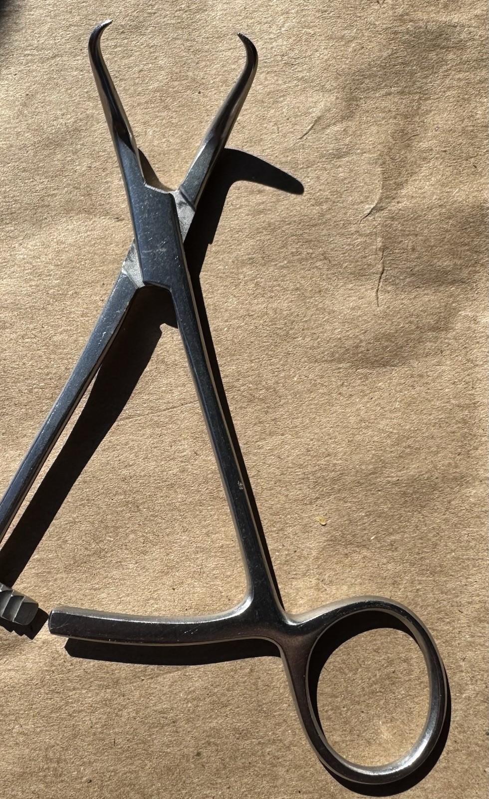Surgical Backhaus Towel Clamp Locking Forceps 5” Veterinary Instruments Germany