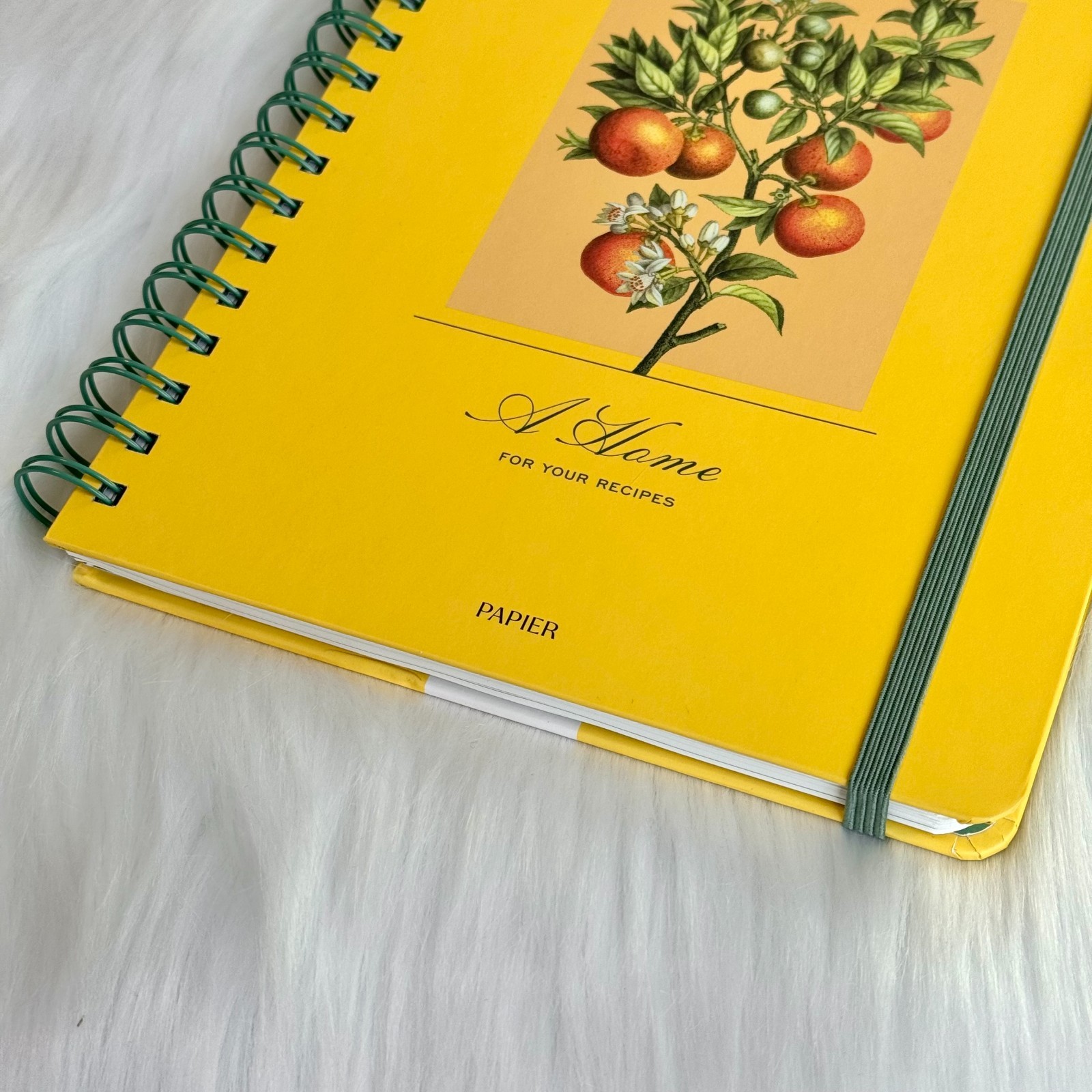 NEW Papier Yellow Recipe Journal Oranges Design Spiral Bound Notebook