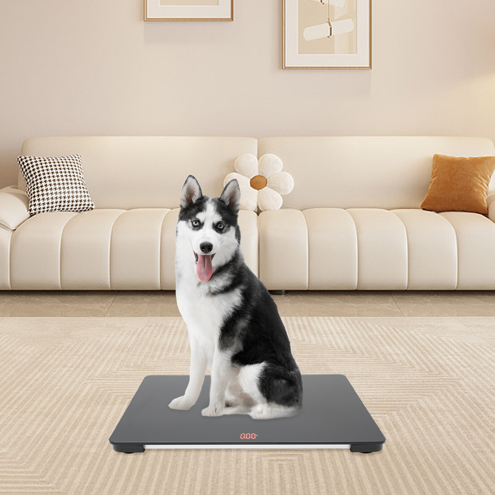 LCD Pet Store Hospital Scale Large Dog Weighing Scale 100KG High Precision Scale