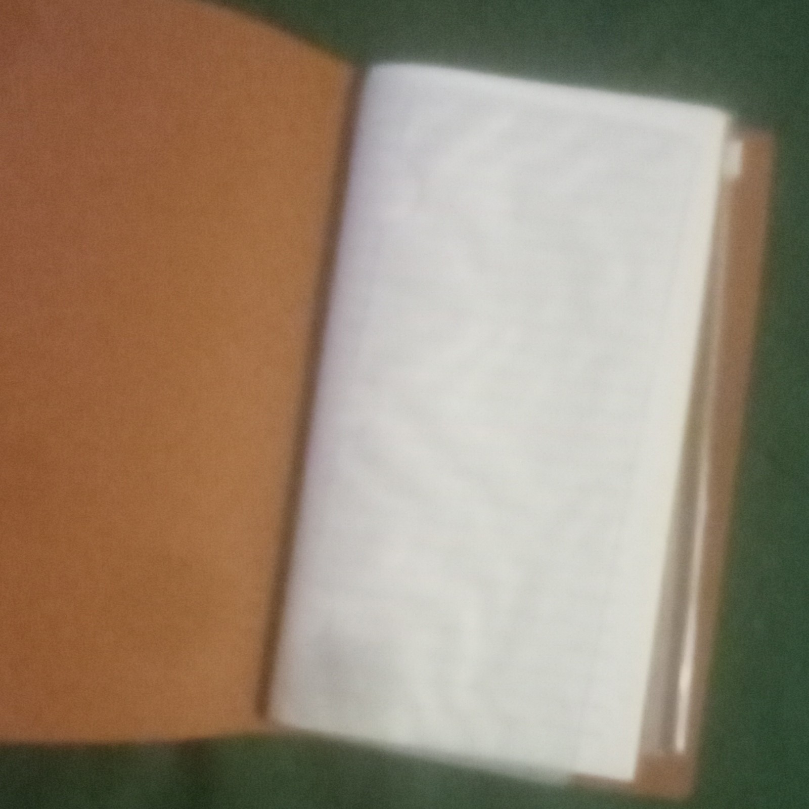 Personalized Custom Leather Journal Notebook with Strap Closure Diary