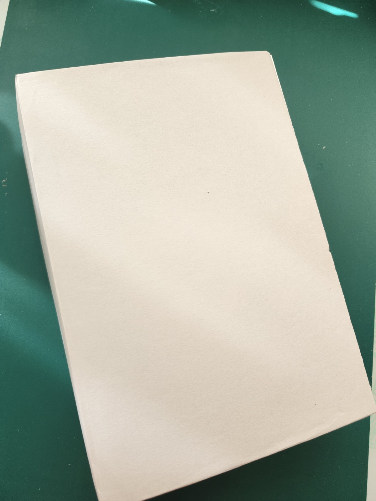 Handmade XL BLANK NAKED JUNK JOURNAL 200pgs! 9x6x3.25