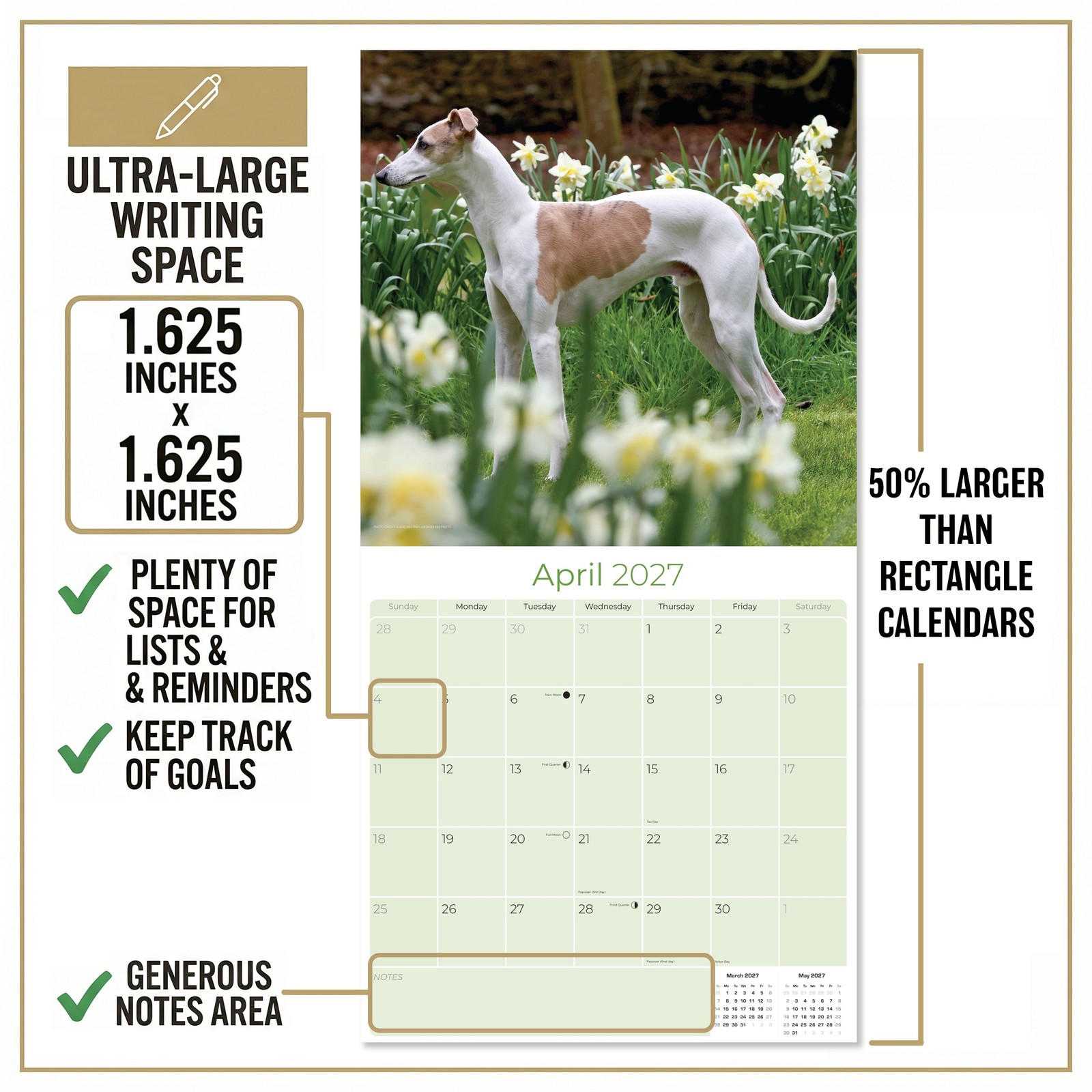 Whippet Dog Breed Calendar 2024 FULL SIZE 12×24 Made in USA