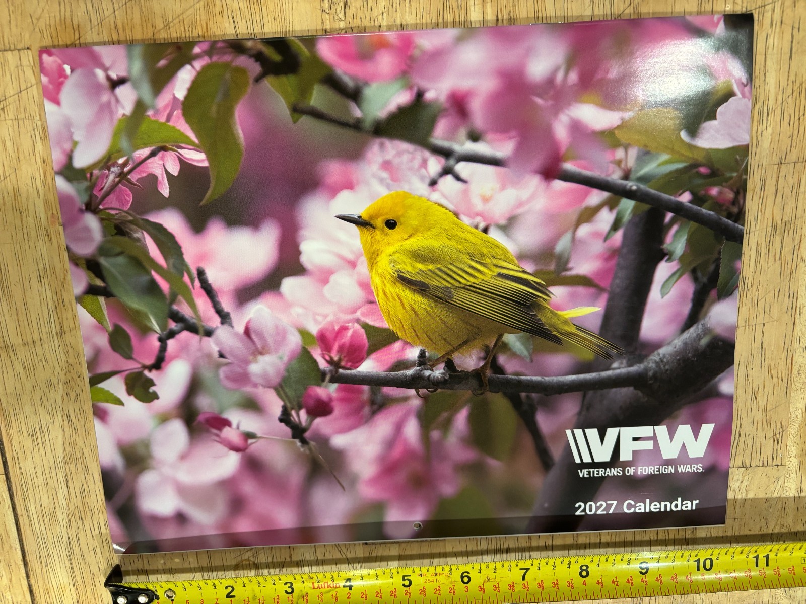 VFW – Veterans of Foreign Wars – 2027 – 12-Month WALL Calendar – Bird Photos!