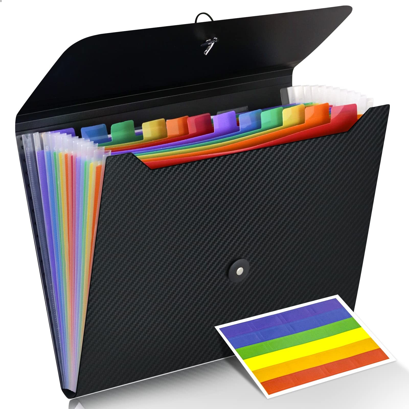 Cesil Accordian File Organizer 12.99 x 9.45 x 1.77 inches, Multicolor