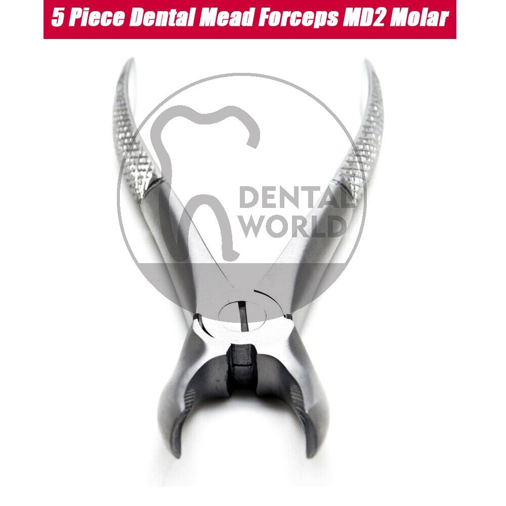 5 Pcs Dental Mead Forceps MD2 Molar Tooth Extracting Surgical Instruments