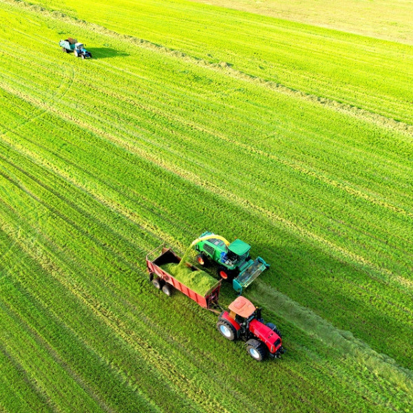 Engineered Ultra-Strength Silage Tarp 8 mil Black/White Plastic Sheeting