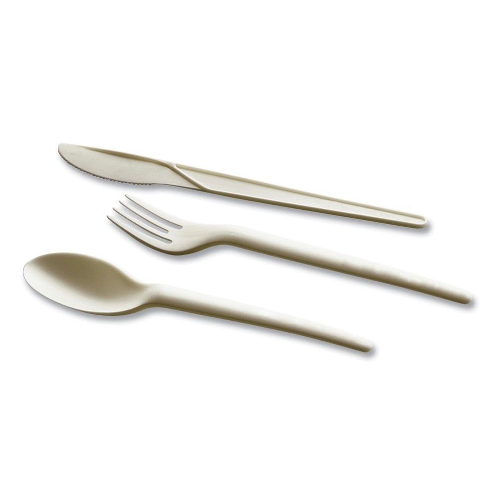 WNA EPS003PK 7 in. EcoSense Renewable Plant Starch Cutlery Spoon (50/Pack) New