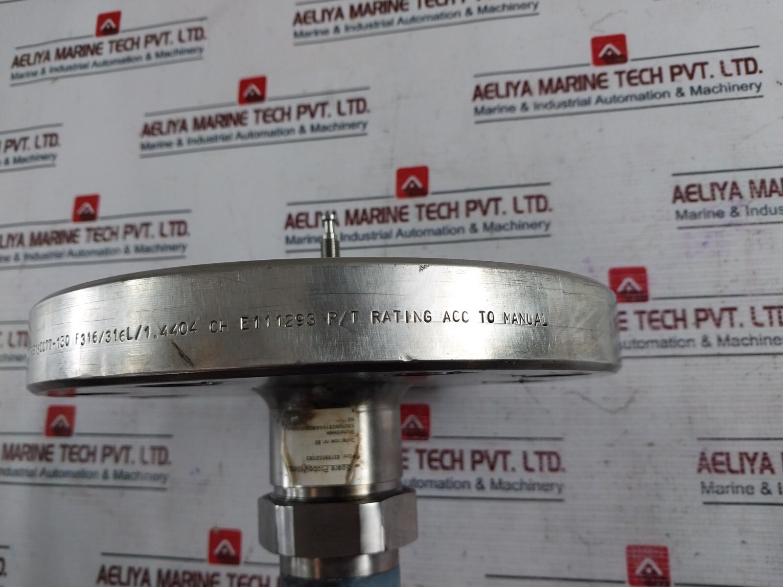 Rosemount 5309NN0S1V4AM00099BBNA 5300 Series Level Transmitter 05400-7004-0006