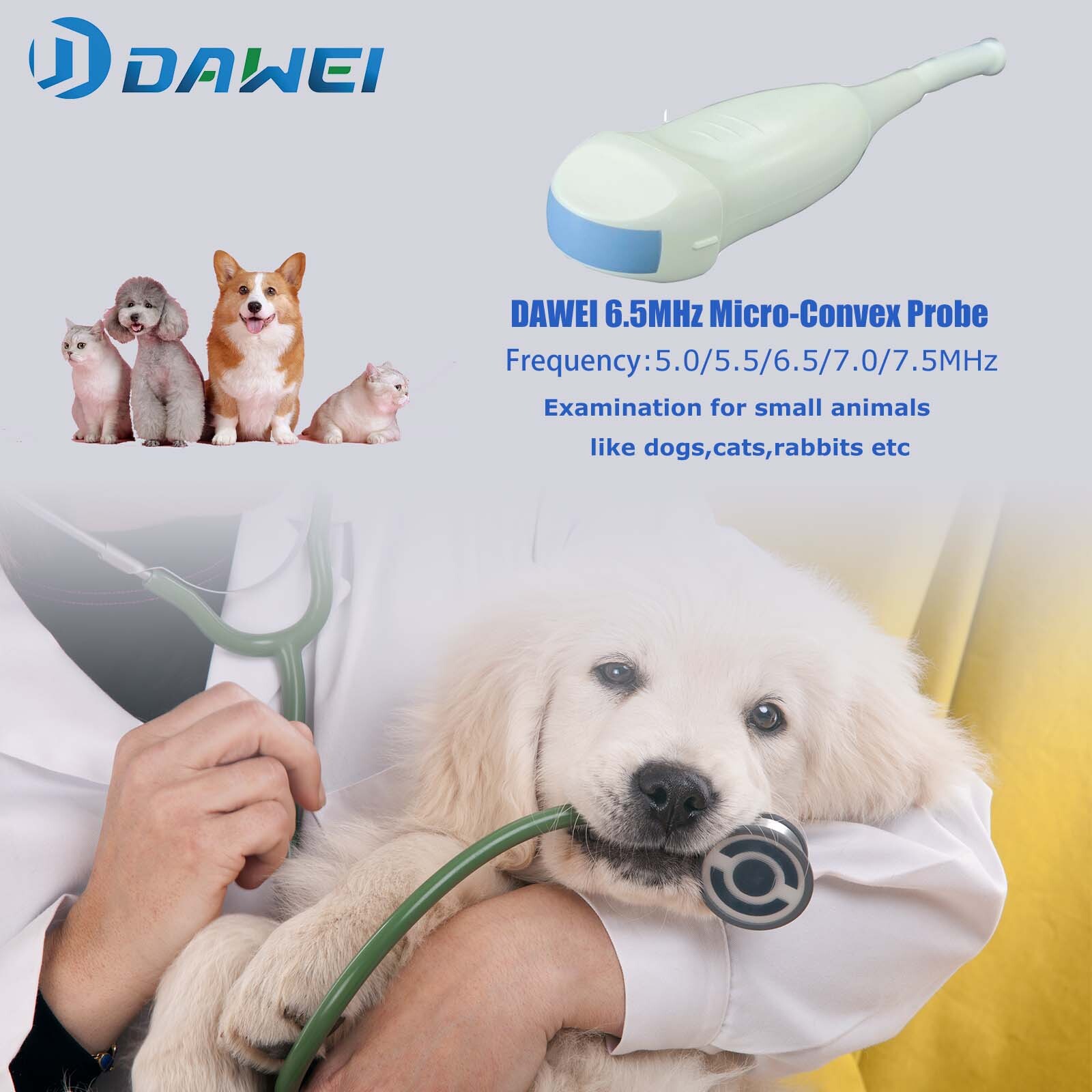 Laptop Vet Ultrasound Machine Scanner 5.0Mhz Micro-Convex probe For pregnancy