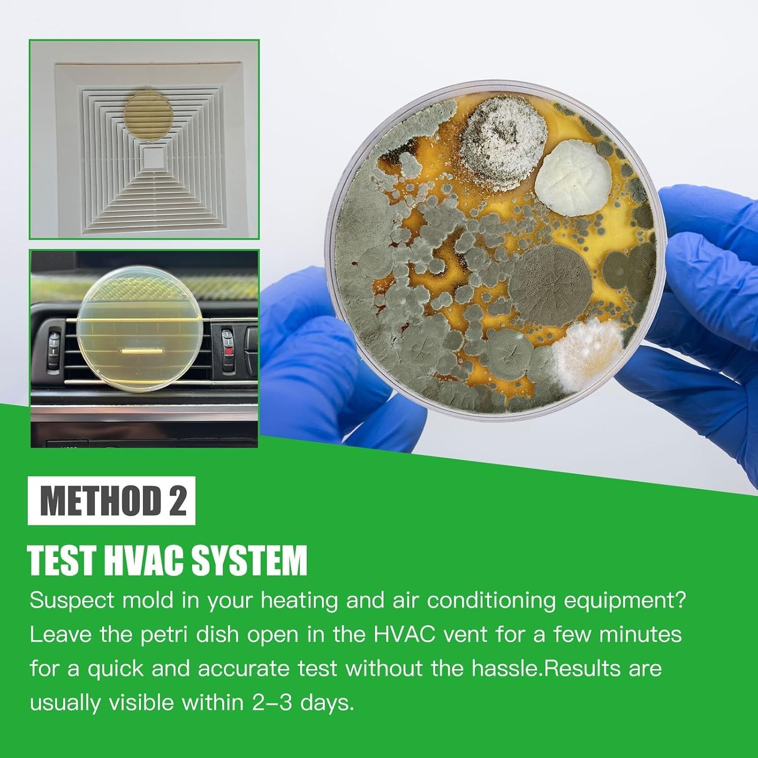 Mold Test Kit for Home Within 12 Individual Tests,DIY Detector at Home, Surf…