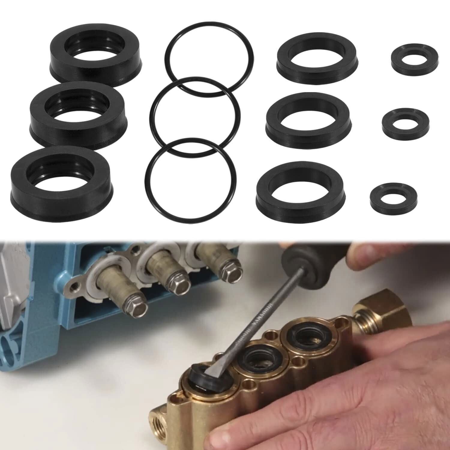 76975 Seal Kit 12Pcs For Cat Pump 4DNX Pumps 4DNX25GSI 4DNX27GSI CAT Seal Kit