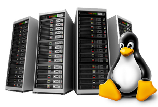 Hosting for Micro Business – ⚡ Secure, Unlimited SSD + Free SSL | Just $14.99/Yr
