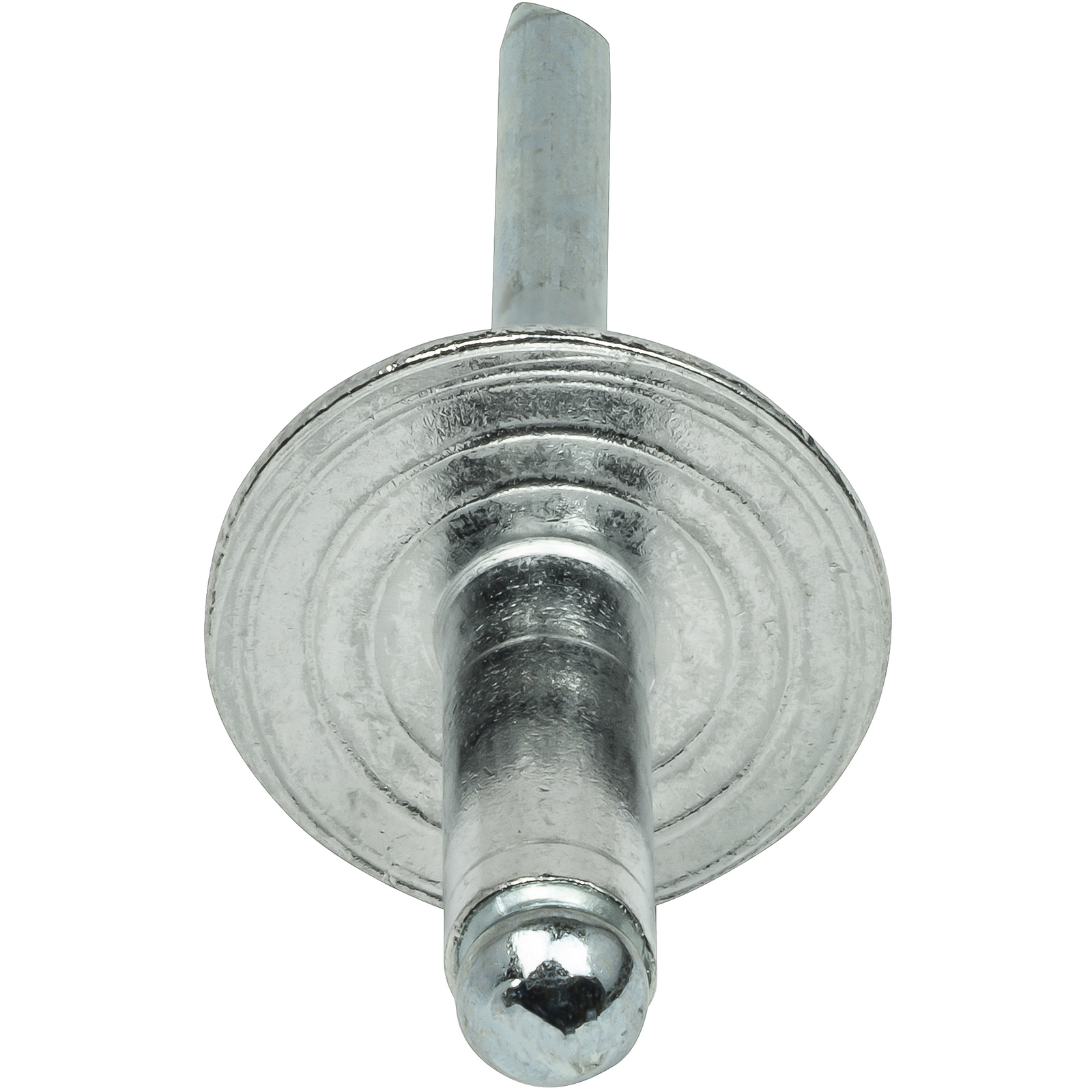 Large Flange Pop Rivets Aluminum Body Steel Mandrel Dome Head Blind Every Size
