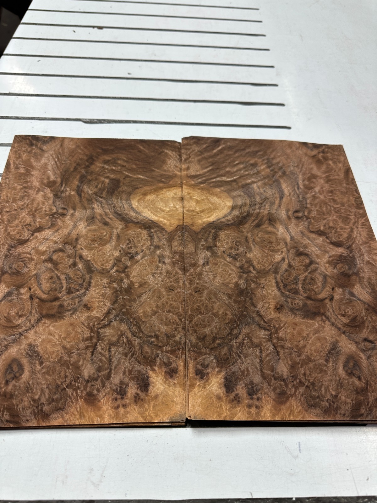 Walnut Burl Raw Wood Veneer 2 sheets 12» x 7» 319F