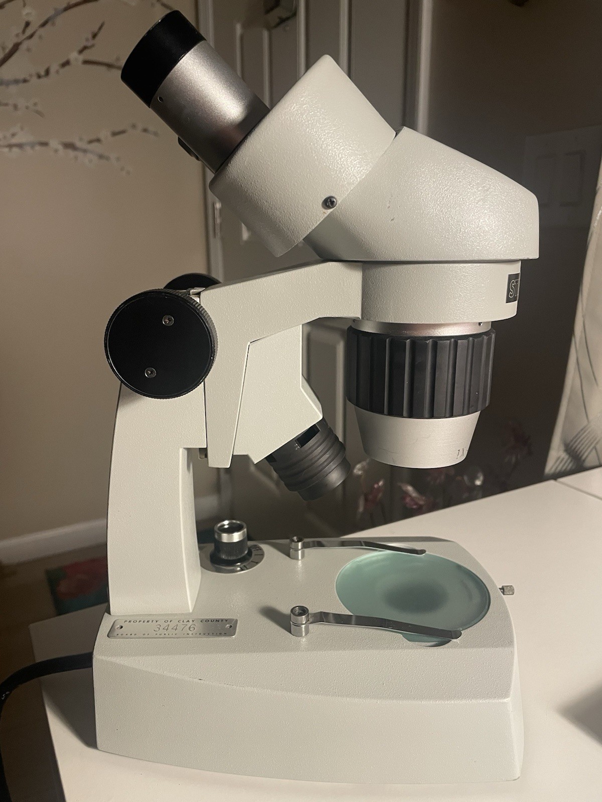 Fisher Scientific Stereomaster II SPT-ITH Binocular Microscope with SW10X