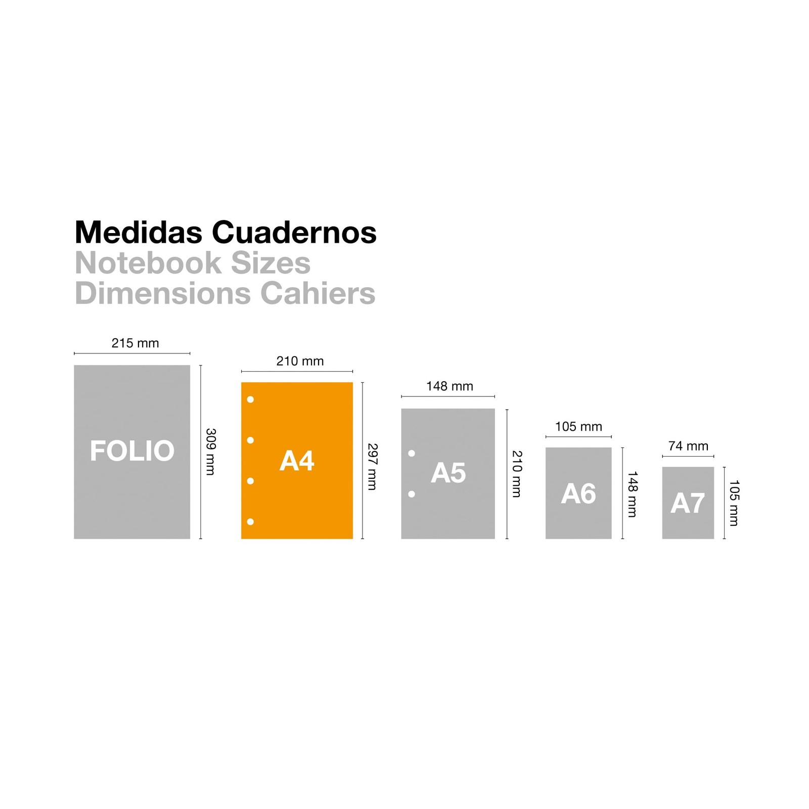 Miquelrius – A4 notebook, 5 mm square, hardcover made of A4, multicoloured