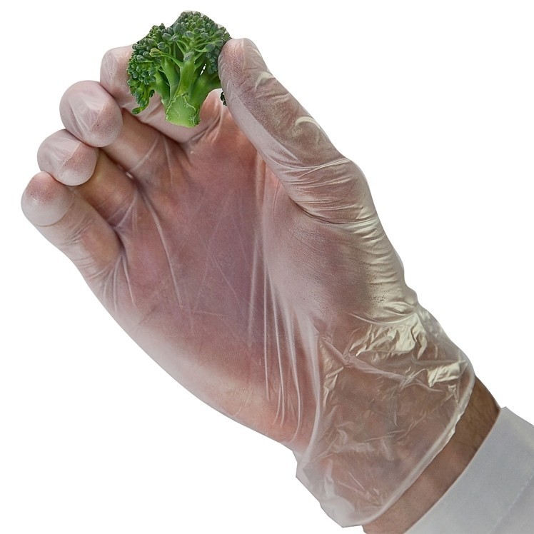 1000 Count Lightly Powdered Clear VINYL GLOVES SMALL (Full Case 10 boxes of 100)