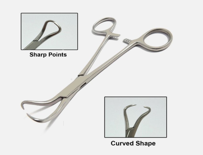 Backhaus Towel Clamp Forceps 3.5″ Set of 10 Surgical Veterinary Stainless Steel