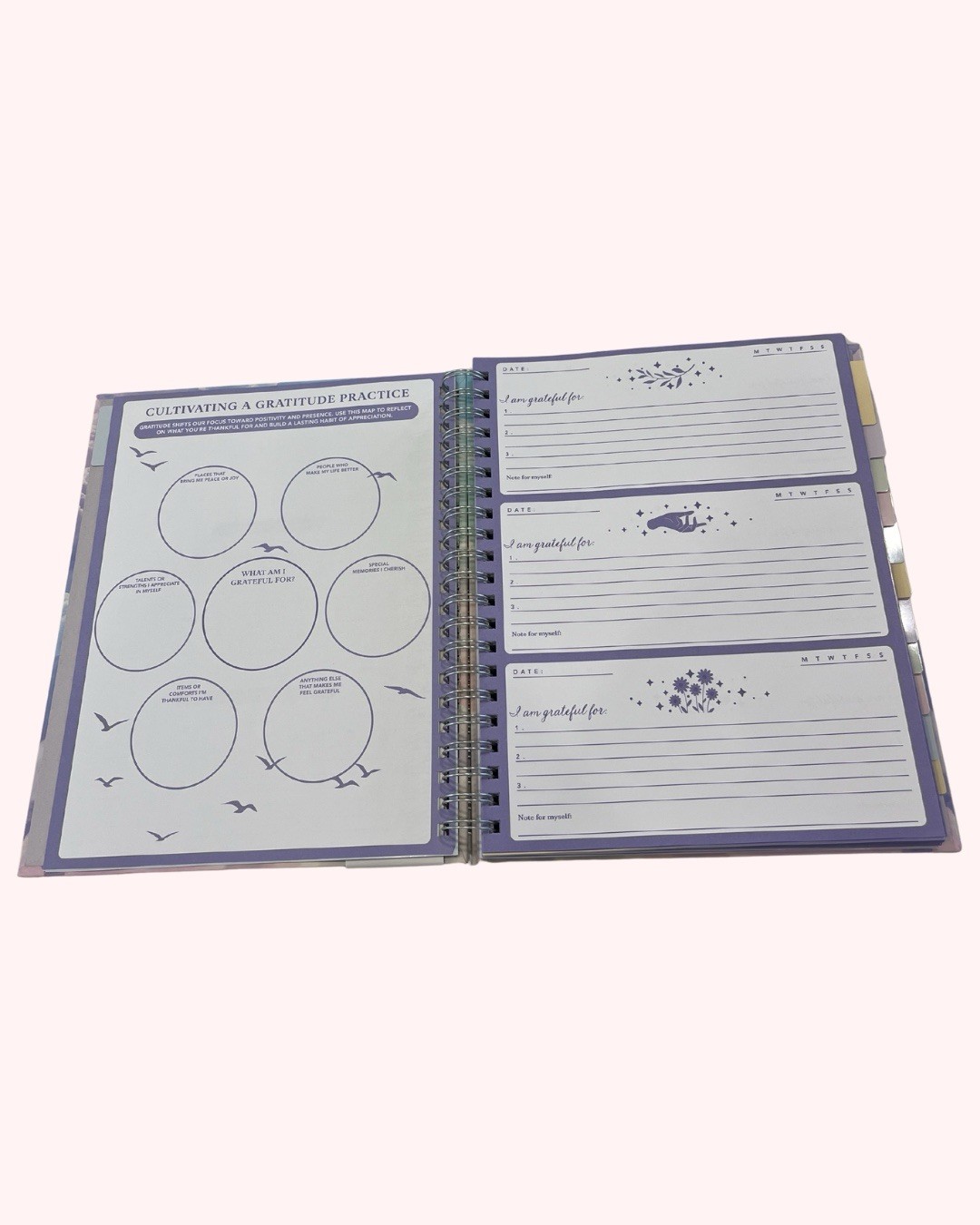 Pembrook Gratitude Planner Feel Grateful Cloud Undated 12 Month Wellness Journal