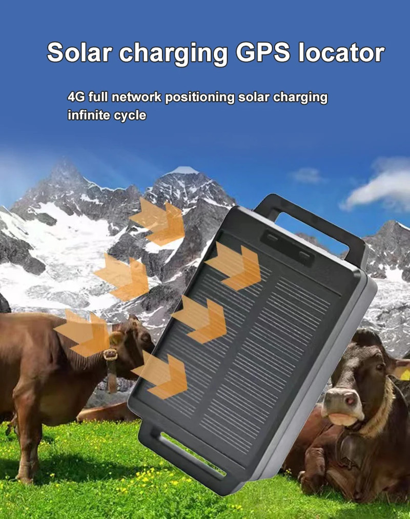 4G Solar GPS Tracker for Cattle Cow Horse Sheep IP67 Waterproof Livestock Tracki