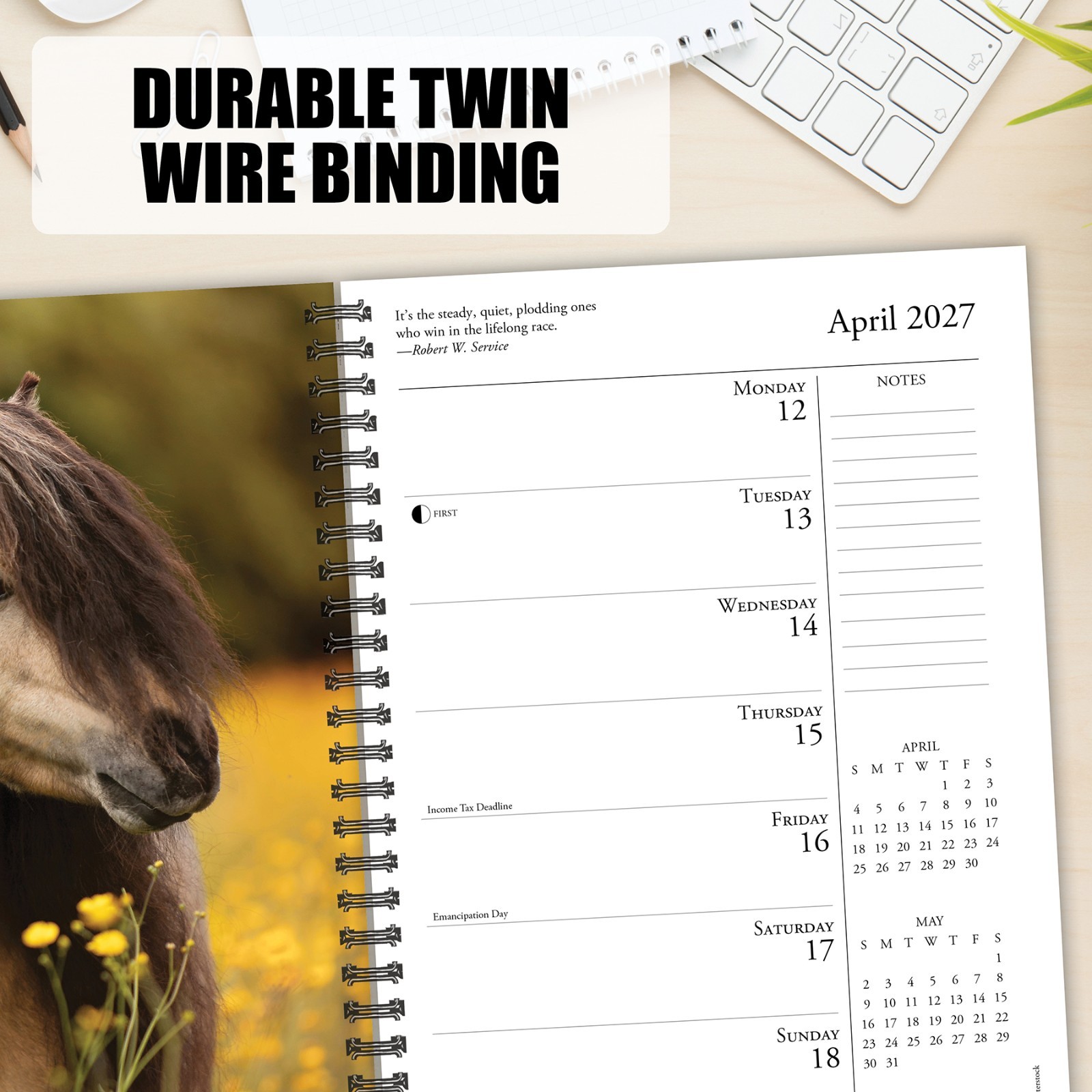 What Horses Teach Us 2027 6.5″ x 8.5″ Engagement Calendar