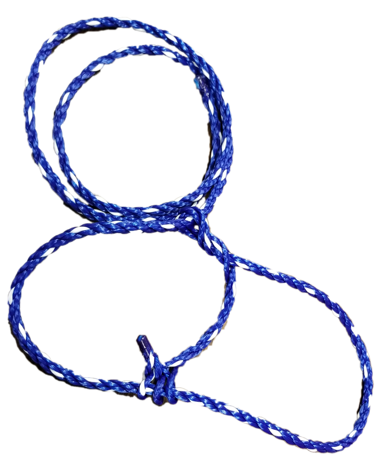 Sheep Lamb and Goat Adjustable Halter with Rope Lead BLUE Showing Sheep
