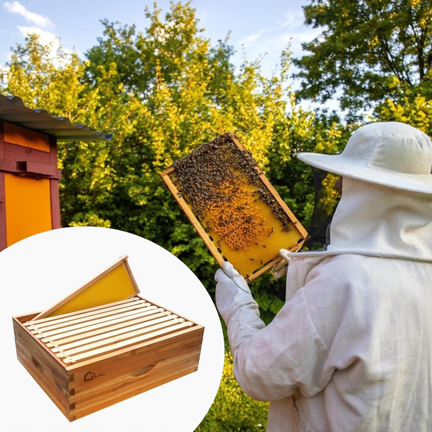 10 Frame Medium Super Bee Hive Box Langstroth Honey Bee Hive Dipped in 100%