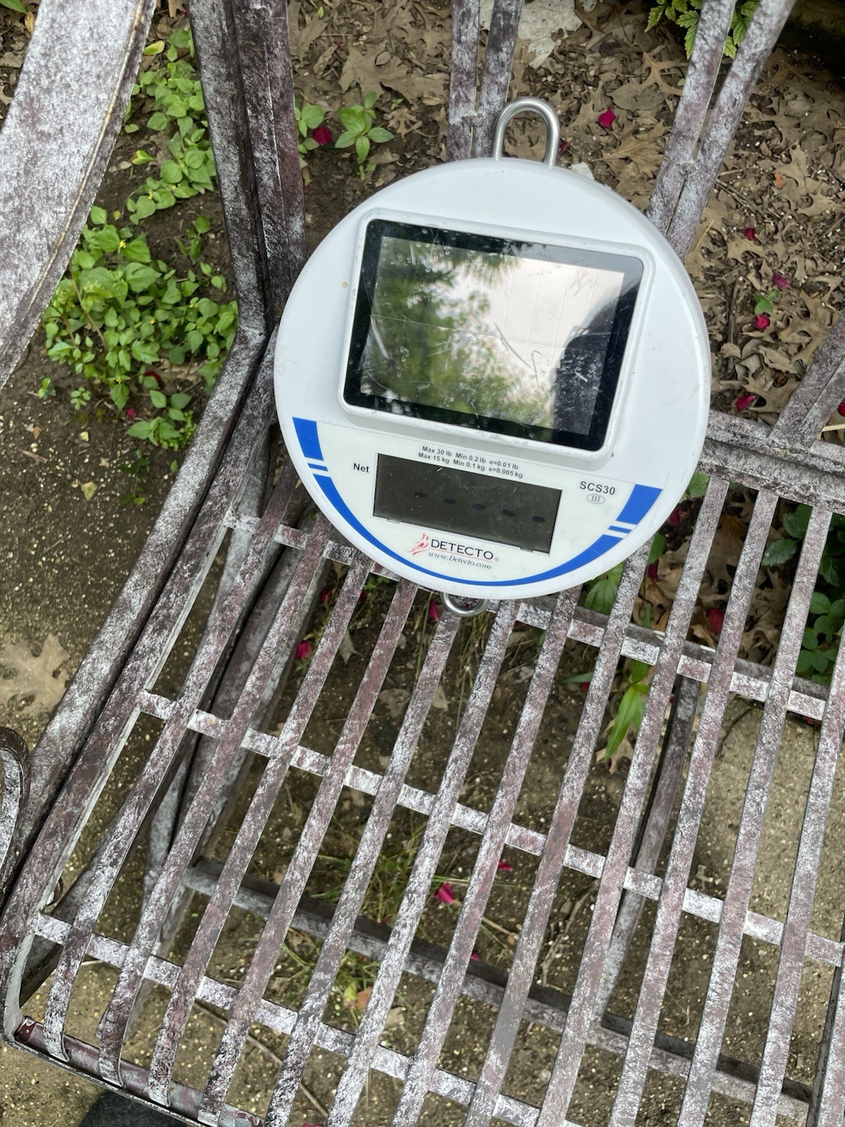2 Detecto Digital Hanging Scale SCS30 Solar Powered 66lb/30kg Capacity