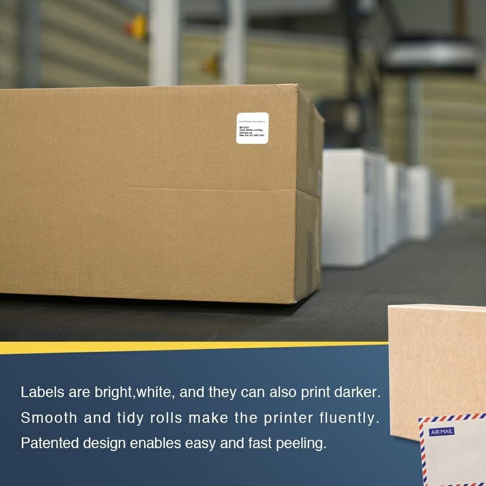 BETCKEY – Compatible Square 0.9 in x in, 10-rolls Full Set(10000 Labels)