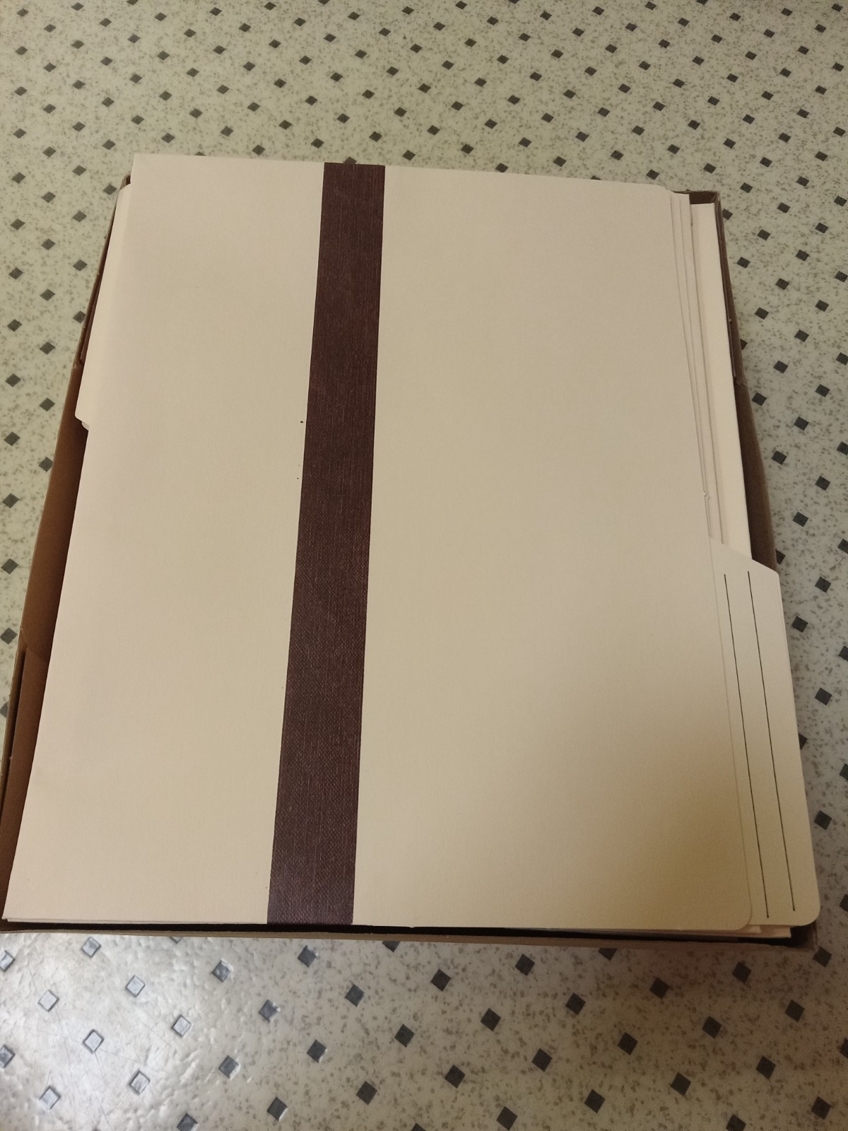 50 Count Pendaflex Expanding Vertical File Pocket 1″ (pfx-15135) (pfx15135)
