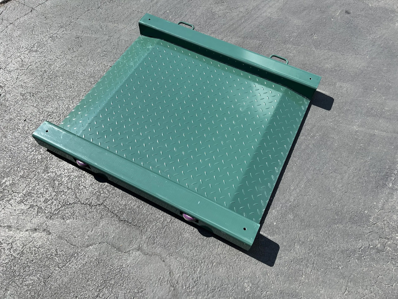 US-LD3131-P-EX «SafeWeigh» Drum Scale (500 lb x 0.2 lb)
