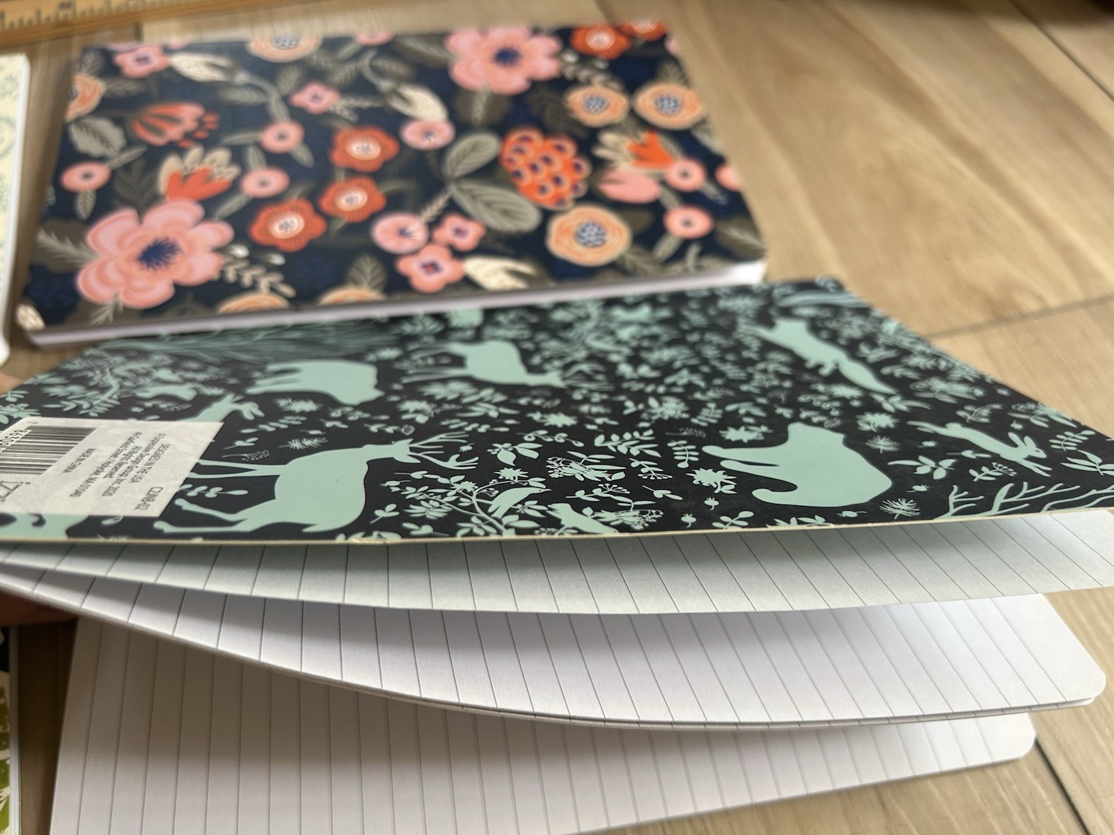 Journals:2 Lined 2 Blank 5.25×8.5inches— 60+pages