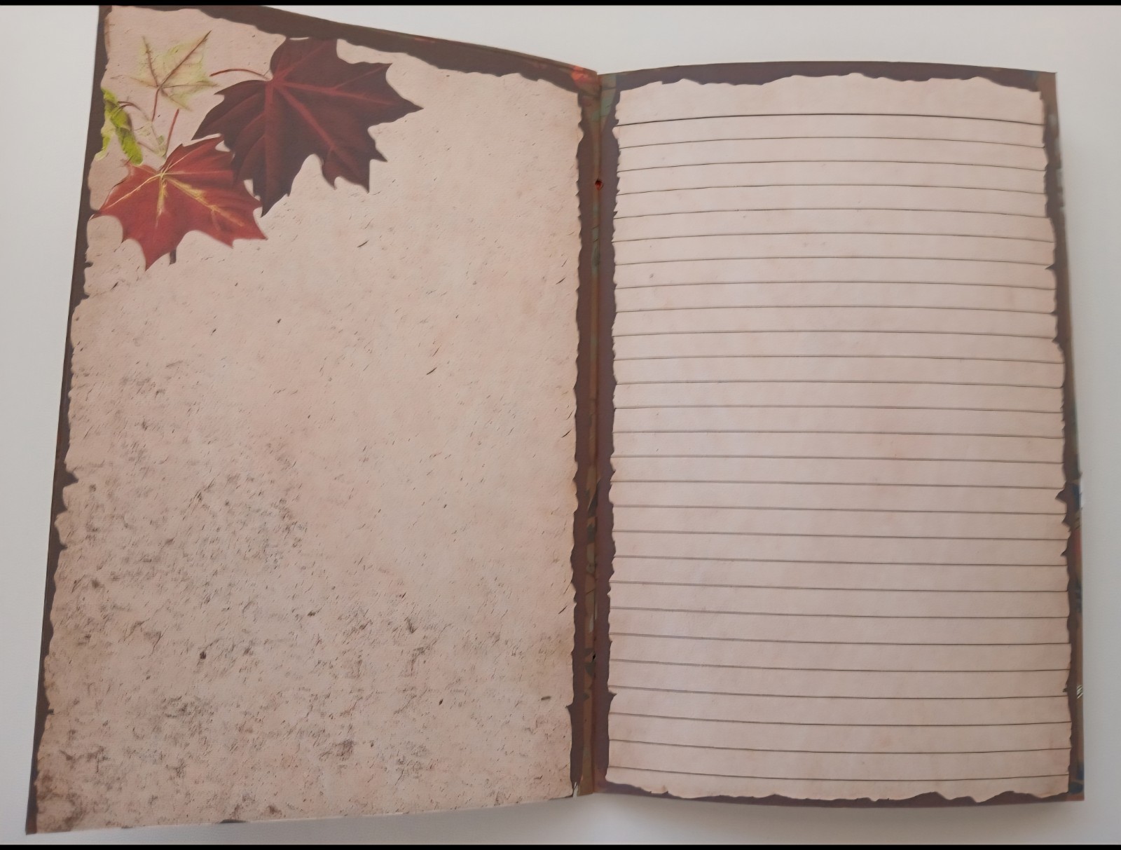 Junk Journal Booklet «WOODLAND CREATURES» HANDMADE Forest Life Lg 5.5″x8.5″ 40p