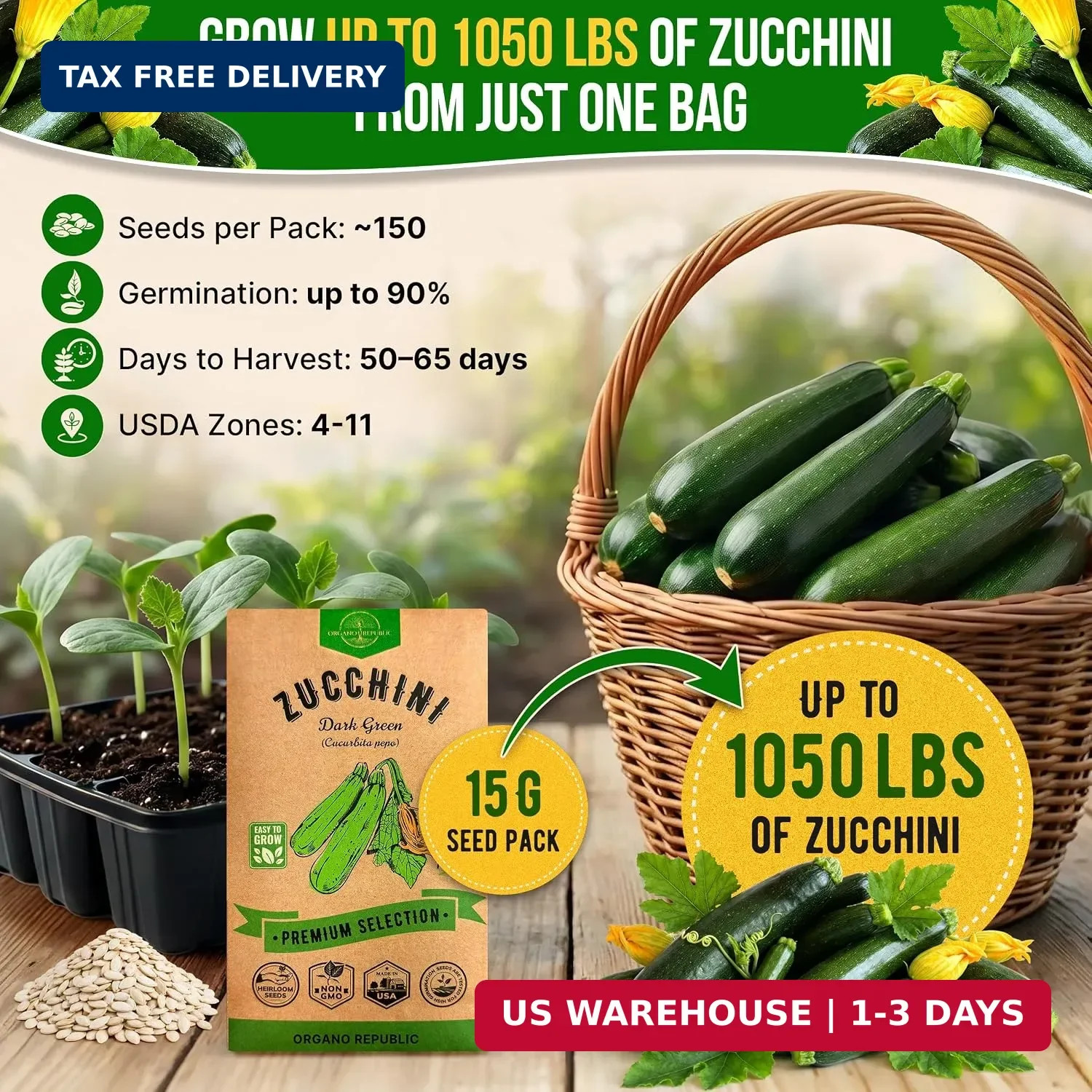 Organo Republic Dark Green Zucchini Seeds Pack 15 G – Over 150 Non-GMO Heirloom