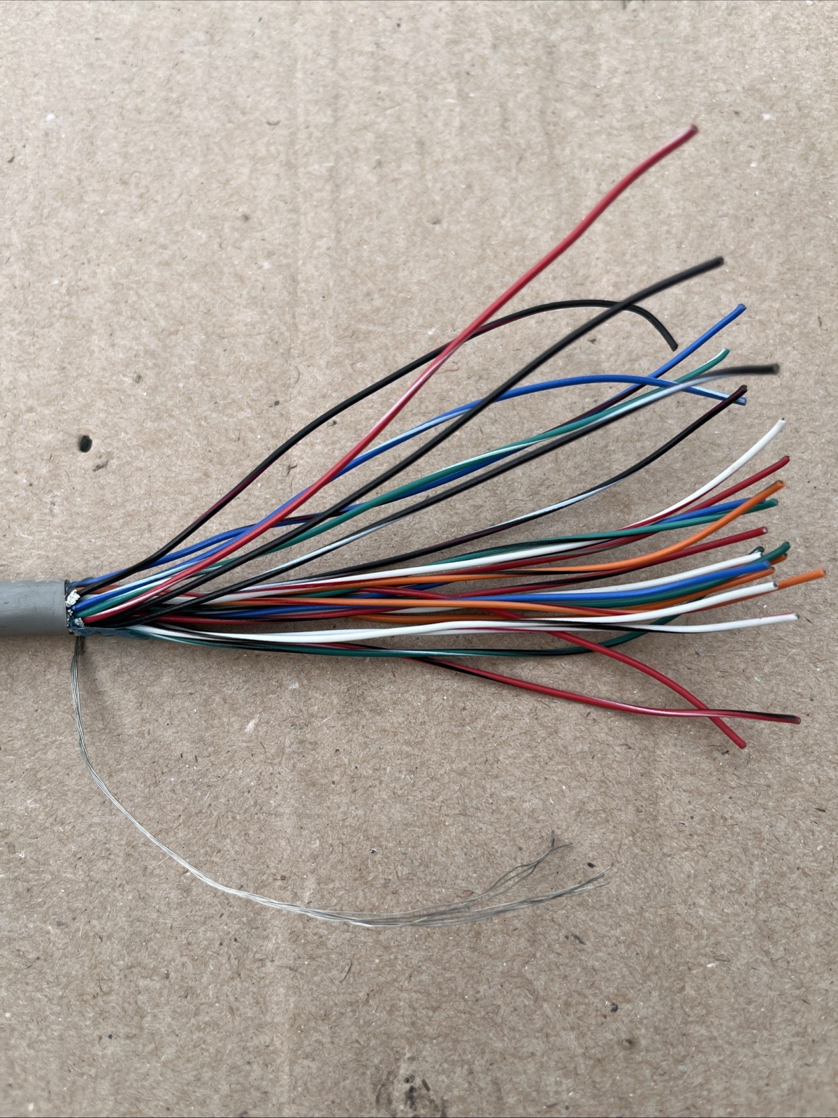 50’ Type CM 25 Conductor 24 Gauge Shielded Cable ~ 25C 24AWG