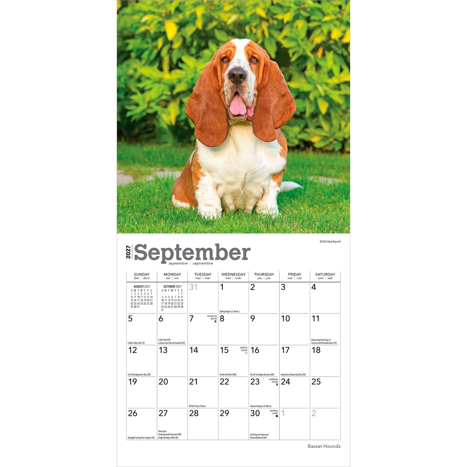 Basset Hounds | 2027 7×14″ (Hanging) Monthly Mini Wall Calendar